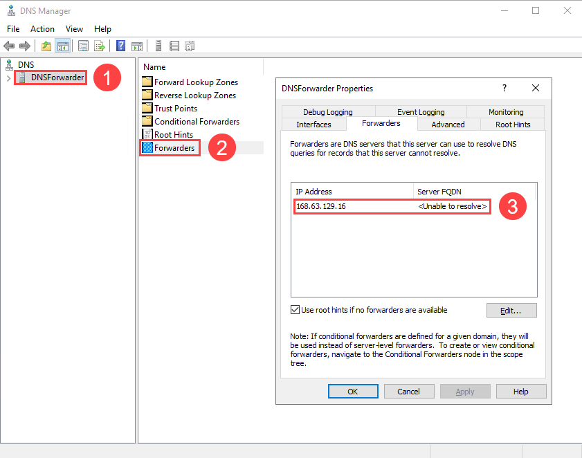 Forwarding DNS server IP address