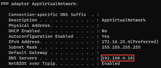 VPN connection DNS server IP address
